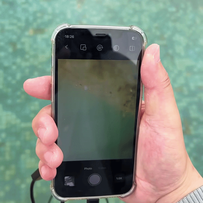 Se nøyaktig hva som skjer – direkte på mobilen
